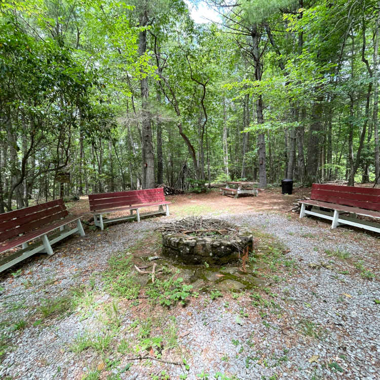Picnic Area
