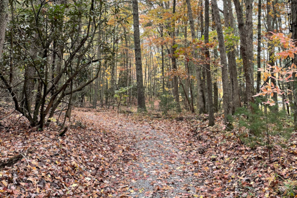 A hiking Trail