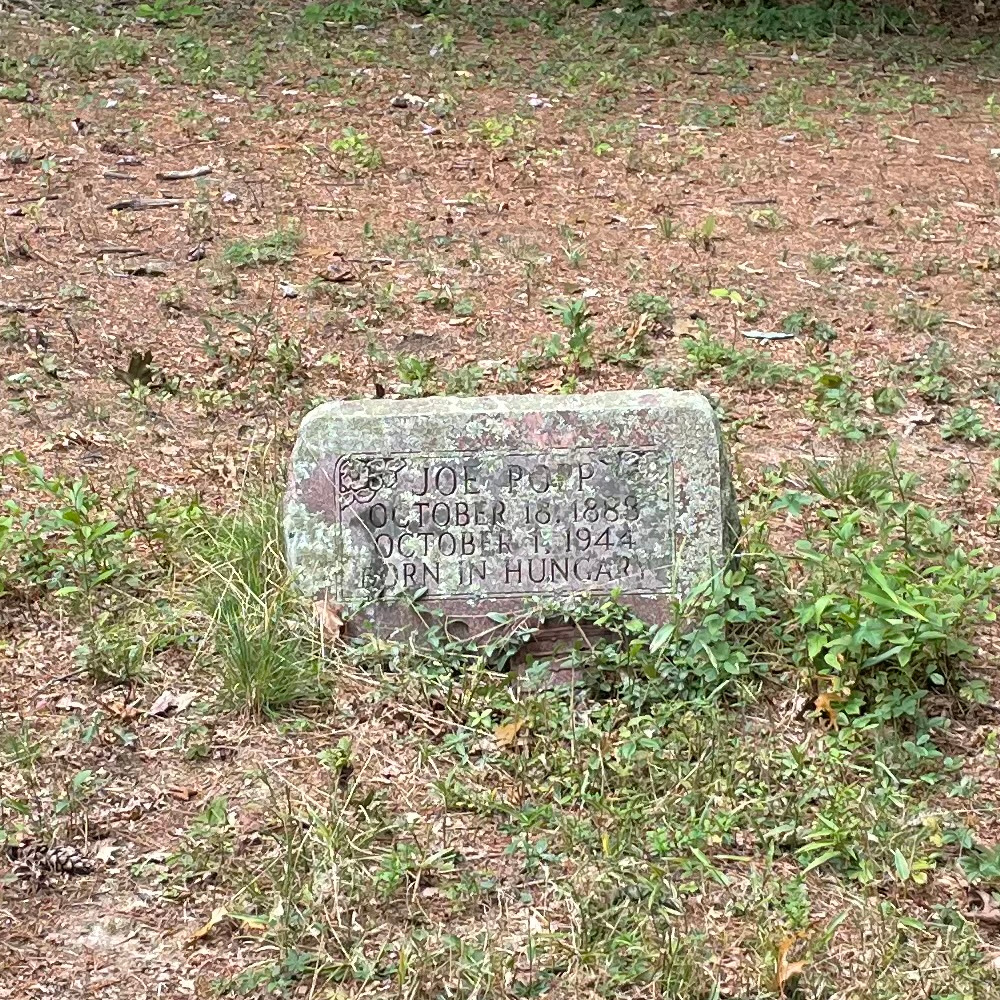 The Poor Farm Cemetery