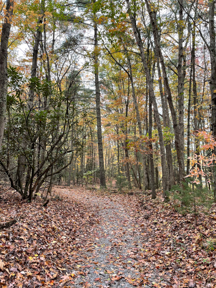 Laurel Trail Entrance