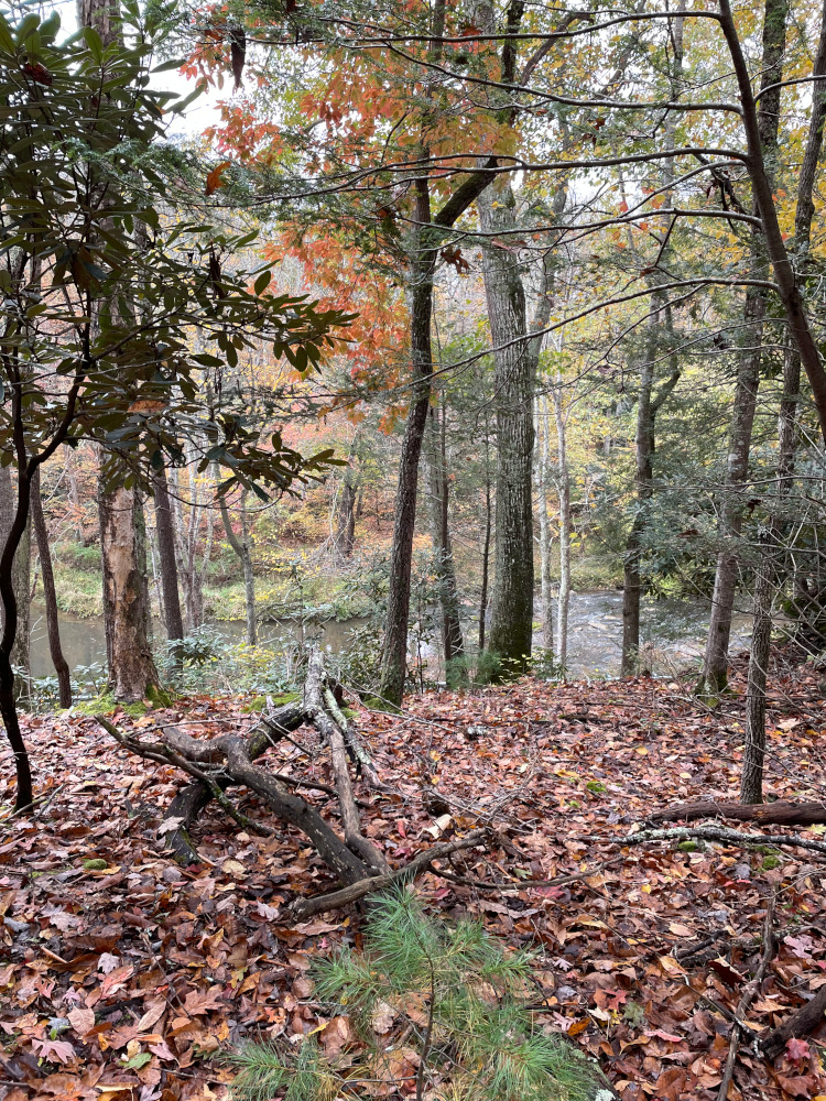 Laurel Trail Entrance