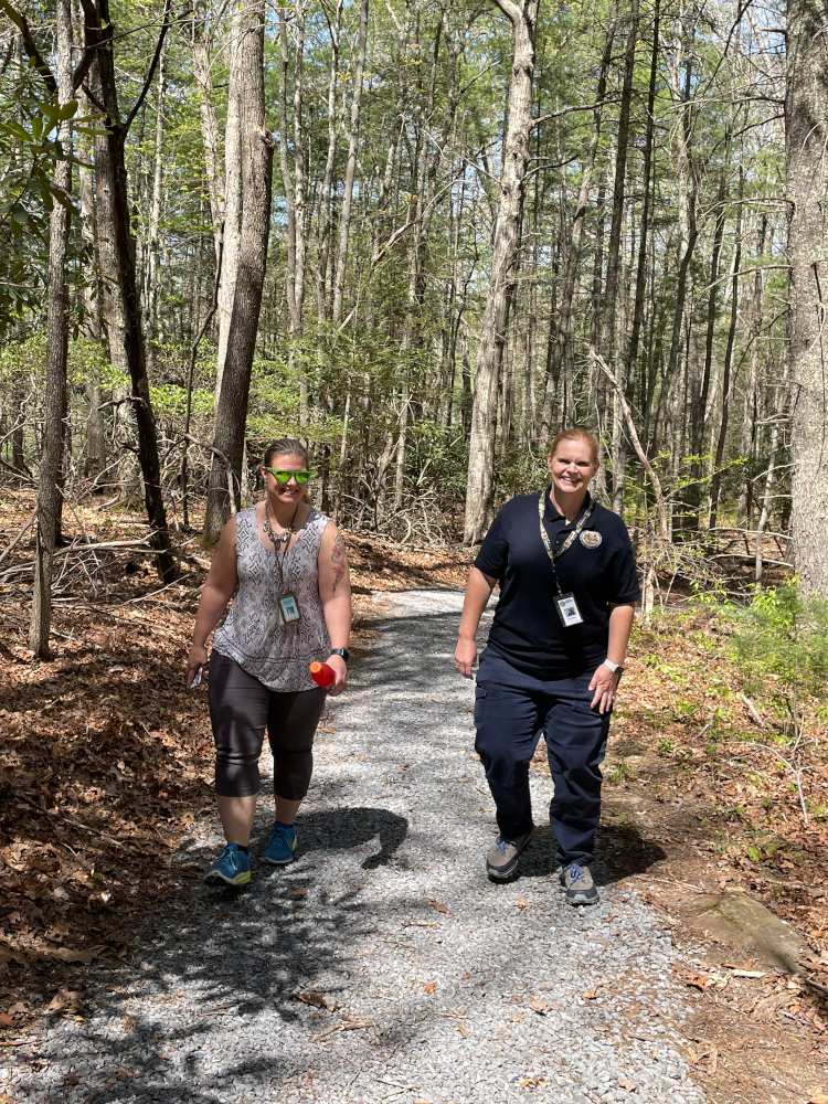 Hikers