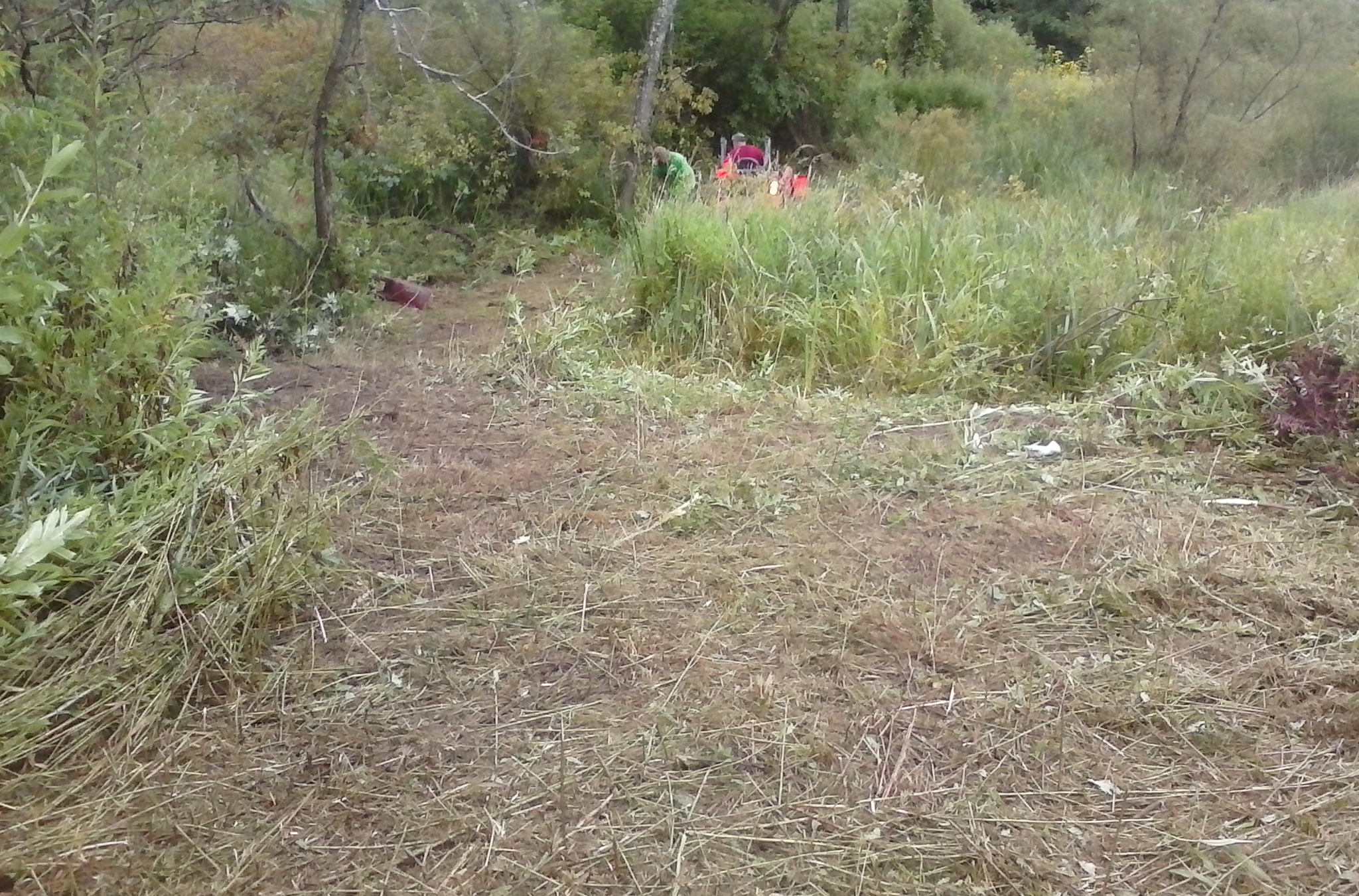Trail Work