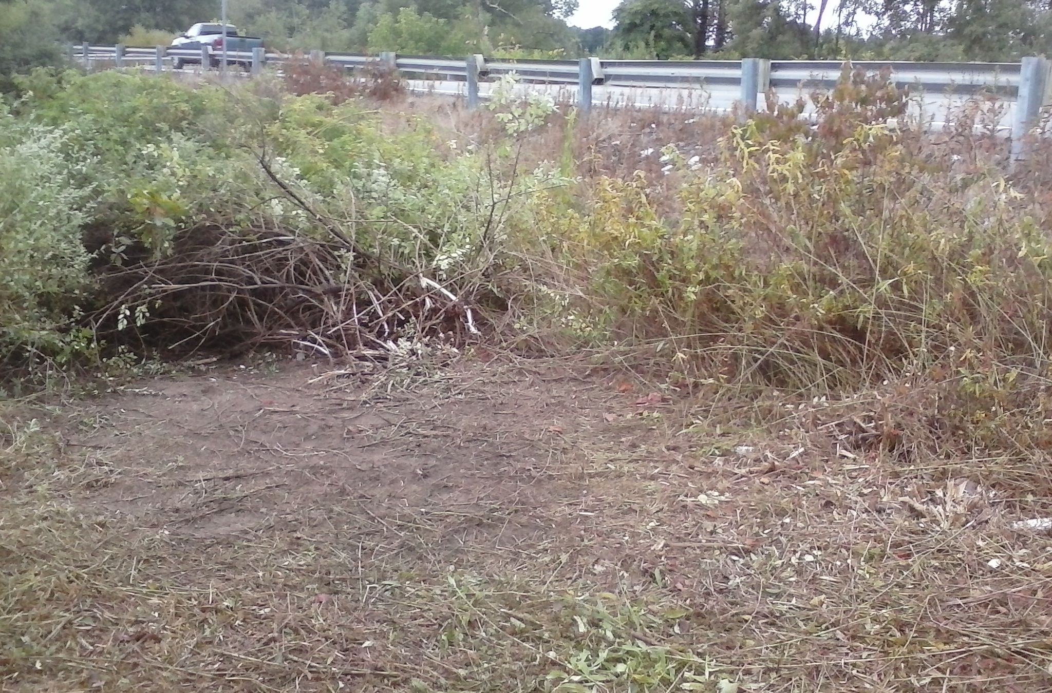 Trail Work